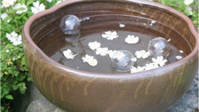득템 찬스! 수반옹기화분 후기 & 할인 정보 놓치지 마세요! 🌸